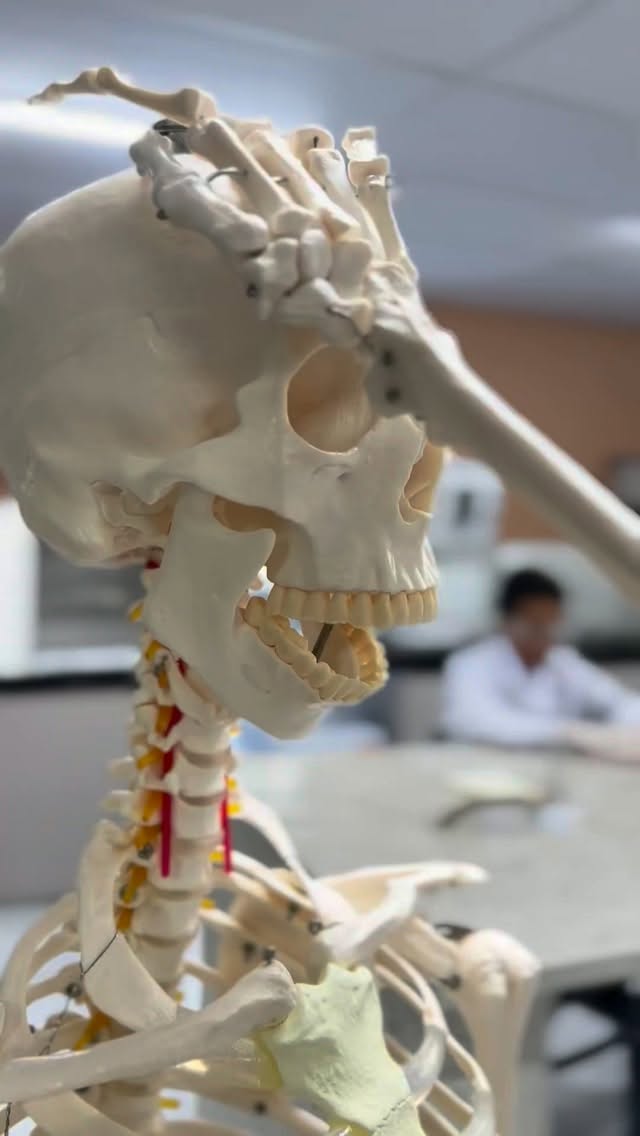 Quando a ciência ganha forma, a curiosidade vira investigação. 🤓No Nature Lab, os...